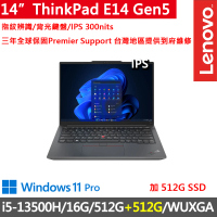 【ThinkPad 聯想】14吋i5商務特仕筆電(E14 Gen5/i5-13500H/16G/512G+512G/WUXGA/IPS/W11P/三年保)