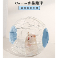 卡諾Carno倉鼠跑輪 倉鼠滾球 靜音玩具 滾輪 跑球 跑步球 滾球 倉鼠玩具 跑輪 卡諾 Carno 卡諾Carno