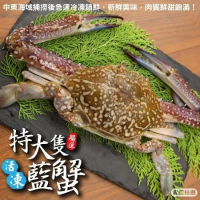 【海肉管家】活凍特大隻藍花蟹8隻(400-450g/隻)