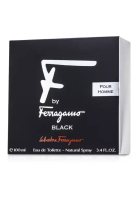 Salvatore Ferragamo Salvatore Ferragamo F Pour Homme Black EDT 100mL