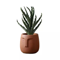 DILAS HOME Face Plant Pot (Brown) - Small