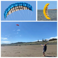 free shipping 2.5m dual Line Stunt power Kite soft kite Parafoil kitesurf fly outdoor fun sports professional kites Chinese kite