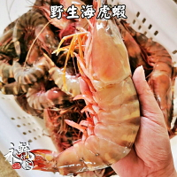 【永鮮好食】限量 野生海虎蝦 海草蝦 手臂蝦  肥豬蝦(1kg±10%/6尾/1盒) 海鮮 生鮮