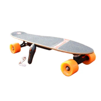 Factory Direct Sale High Quality Skateboard Trucks Electric Skateboard Set For Adult