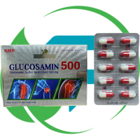 Glucosamin 500 - Rostex - Mediphar USA - Vitamin Phục Hồi
