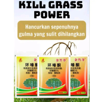 KILL GRASS POWER BUBUK ( Herbisida Siklozinon Pembunuh Pohon Besar ) Tanaman