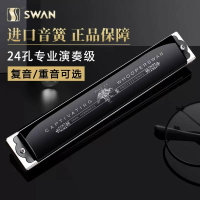 德國進口音簧28孔復音口琴正品高端成人復音口琴送禮品初學者入門