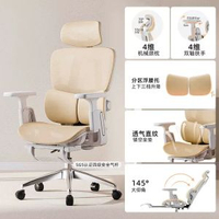內地直送 - 人體工學椅辦公室椅子大學生宿舍電腦椅遊戲直播電競椅主播椅子