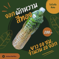 งอกผักหวานป่า 20 งอก 200 บาท