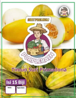 Bibit Premium Timun Suri Primadona | Benih Premium Ketimun Suri Primadona | Timun