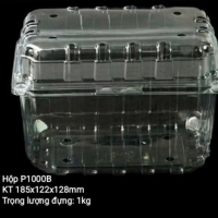 Lốc 100 hộp P1000B đựng 1 kg trái cây có lỗ thông khí