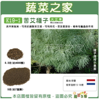 【蔬菜之家】K19-1.苦艾種子 (2種規格可選)(大艾草)具辛辣氣味，可用於調製苦艾酒，植株有驅蟲作用