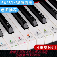 {臺灣公司貨 可打統編}鋼琴鍵盤貼紙彩色88鍵61鍵54鍵電子琴琴鍵貼數字五線譜音符貼配件