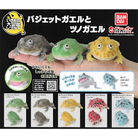 全套5款 日本正版 生物大圖鑑 圓眼珍珠蛙與角蛙 扭蛋 轉蛋 圓眼珍珠蛙 小丑蛙 角蛙 BANDAI 萬代 - 739217