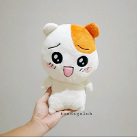 Boneka Hamster Oruchuban Ebichu Original Size 25 cm/ Boneka Hamster