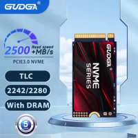 GUDGA M2 NVME SSD With DRAM PCIe3.0 Heatsink 28GB 256GB 512GB M.2 2280 2242 Internal Solid State Drive For Laptop Desktop Game
