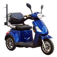 Comfortable Outdoor 3 wheel Electric Mobility Scooter Tricycle for Elderly Disabled custom