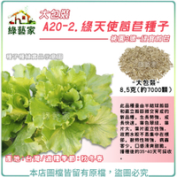 【綠藝家】大包裝A20-2.綠天使萵苣種子8.5克(約7000顆) 桃園3號綠寶萵苣
