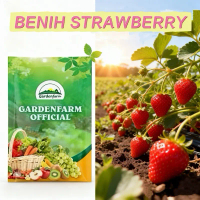 GARDENFARM - Benih Buah Strawberry Jumbo Premium Benih Unggul Buah Strawberry Tanaman Buah Strawberr