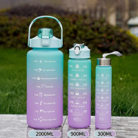 2L 900/300ML Sports Water Bottle Gradient Frosting Water Cup Camping Hiking Portable Sports Bottle Travel Kettle Drinking Bottle