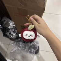 內地直送 - 小紅書長安的荔枝楊梅毛絨玩偶高顏值毛絨公仔鑰匙扣荔枝掛件