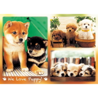 HC - 臺灣製520片優質夜光拼圖 - We Love Puppy  520-023P