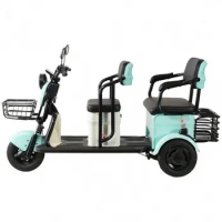 electric trike Vacuum tire 3 wheel Electric Tricycle three wheels adult cargo bike