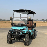 MMC Brand New Design Electric Buggy Motor 48V 5KW 4 Wheel 2 4 6 8 Seater Travel Off Road Scooters Electric Golf Cart