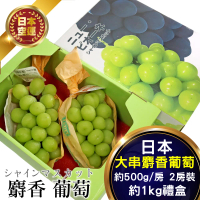 【果之蔬】日本空運無籽麝香葡萄(2串_每串450-500g)