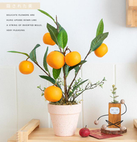 阿楹 可愛仿真桔子植物盆栽辦公室擺件 客廳花室內小橘子桌面裝飾