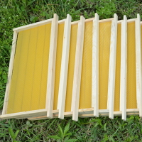 巢框中蜂巢礎框成品帶框全套蜂巢蜂蠟意蜂巢脾蜜蜂箱養蜂工具蜂具