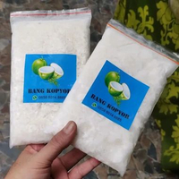 Kelapa Kopyor Frozen Asli 250 Gram