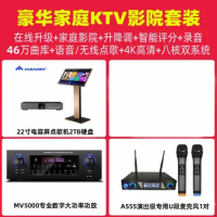 InAndOn 22-inch karaoke machine family KTV set, built-in 2TB HDD, complete set with amplifier, microphone
