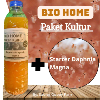 Bio Home Paket Kultur Daphnia Magna & Moina plus Starter Daphnia Magna
