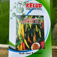 Cabe rawit ASMORO 43 cap KELUD