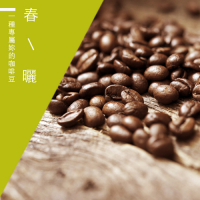 【精品級金杯咖啡豆】春曬咖啡豆(450g)