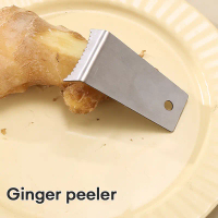 Portable Stainless Steel Ginger Peeler, Garlic Peeler, Potato Peeler, Taro Peeler