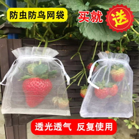 葡萄袋防鳥水果網紗套袋防水防雨防蟲無花果柿子草莓藍莓櫻桃套袋