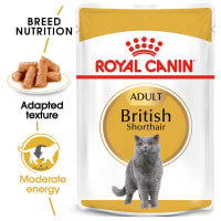 Royal Canin 85 Gr Makanan Kucing Adult Basah British Shorthair Adult