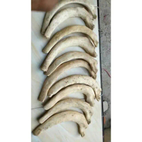 HARGA UPDATE PROMO BAHAN IGA DUYUNG LIMITED