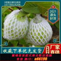 【台灣公司 可開發票】番石榴套袋網袋芭樂防蟲網袋專用一體泡沫包裝袋石榴袋水果網套