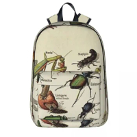 Insects Chart. Scientific Illustration Text In French Backpack Children School Bag Laptop Rucksack Travel Large Capacity Bookbag