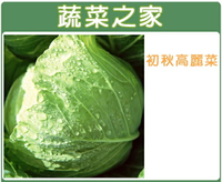 【蔬菜之家】B01.初秋高麗菜種子(共有2種包裝可選)