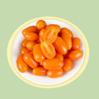 【禾鴻】橙蜜香小番茄禮盒5斤x1盒(不帶蒂頭出貨)