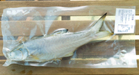 【興義軒】午仔魚 (300g±5、350±5、400±5、450±5、500±5)海鮮食品 冷凍直送