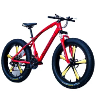 Wholesale Cheap Steel 21speed Fat Mountain Bike Frame Snow Bicycle Fat Cycle Size 26in Wheel/24 26 Inch Fatbike/fat Tyre Bicycle