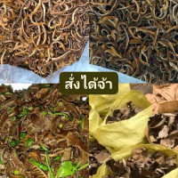 เห็ดกระด้างแห้ง(แบบหั่นแล้ว )1 กิโลกรัมราคา 180 บาท