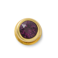 ตัวติดรองเท้า JIBBITZ™ JANUARY BIRTHSTONES WITH SWAROVSKI® CRYSTALS