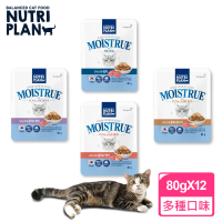 Nutri Plan 韓國金日鱔補水營養貓餐包(80gX12入 副食 全齡貓 即期特惠)