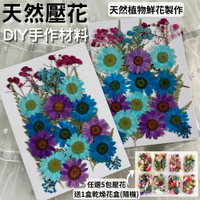 【A-ONE】乾燥壓花 壓花材料包 滿天星 乾燥花書籤 永生花 書籤 押花 壓花材料 壓花DIY書籤